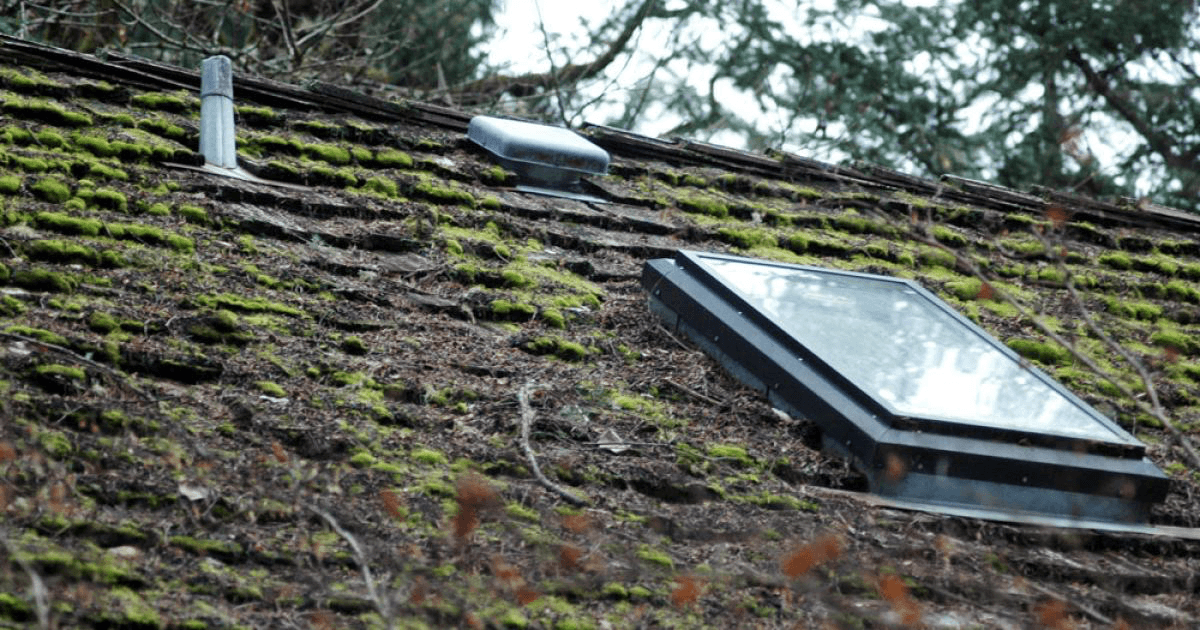How to Remove Moss From Your Roof